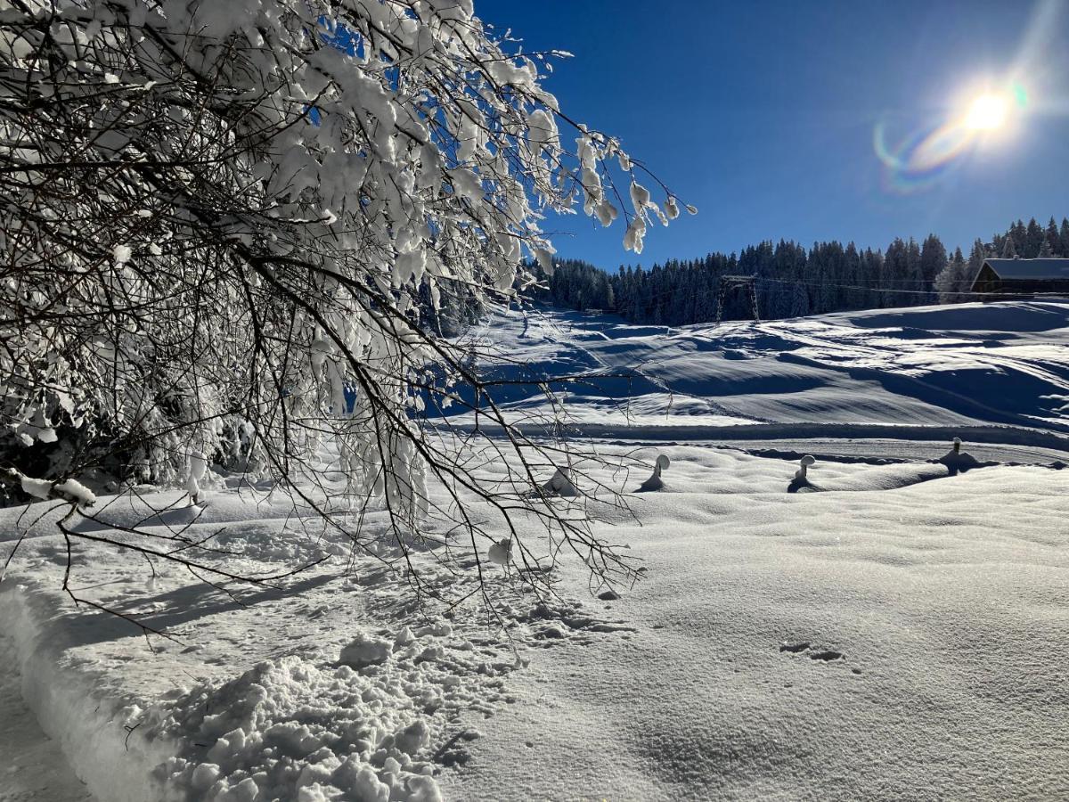 Ferienwohnung Bergblick Am Rande Der Wildnis Sibratsgfall Exterior photo